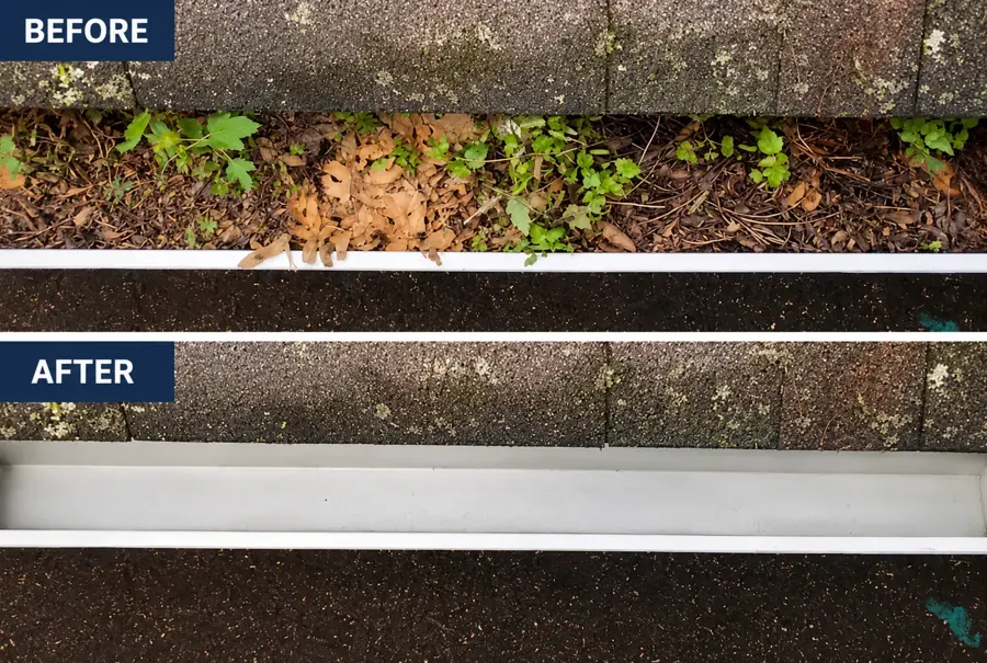 Before and after comparison: plant growing from clogged gutter, then a cleared roofline — Jacksonville gutter cleaning