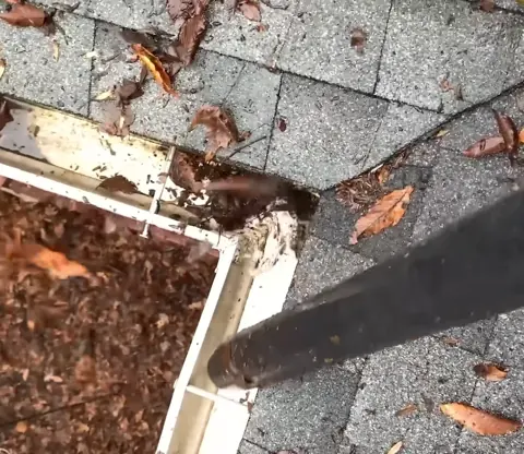 Hand clearing packed leaves from a gutter outlet above the downspout — downspout cleaning Jacksonville