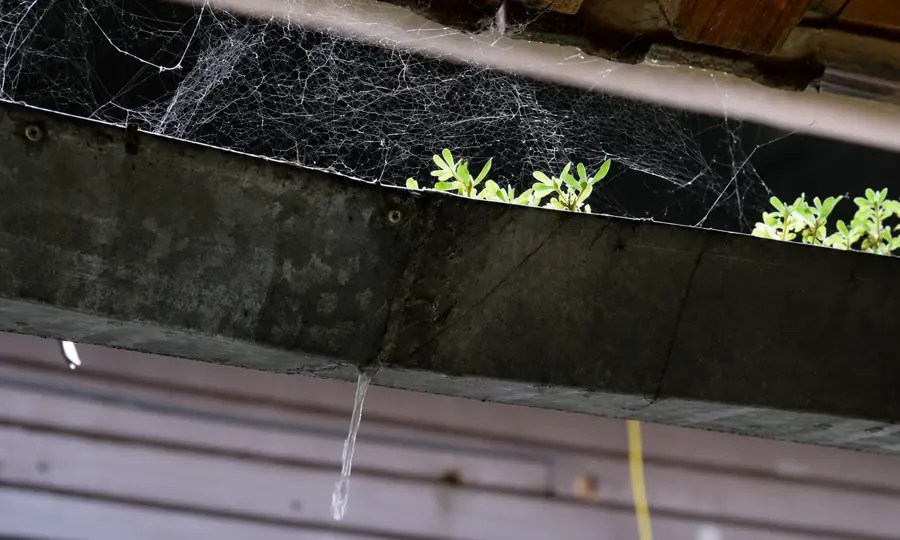 Downspout gushing flush water onto concrete during a gutter and downspout flushing test, Jacksonville