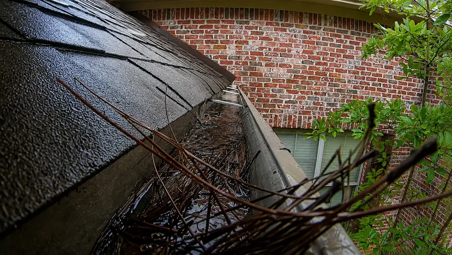 Roof overview a Jacksonville estimator uses to price a gutter cleaning visit
