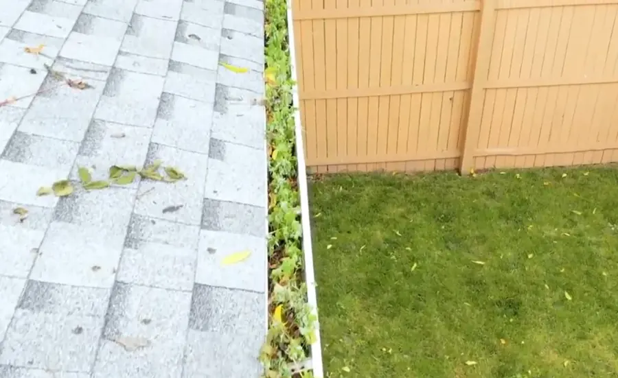 Dry oak leaves heaped in a K-style gutter before gutter cleaning in Jacksonville FL