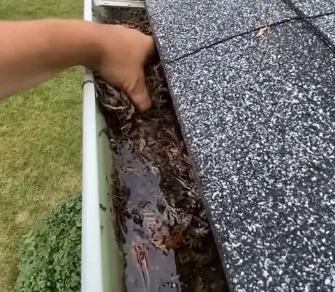 gutter cleaning jacksonville fl