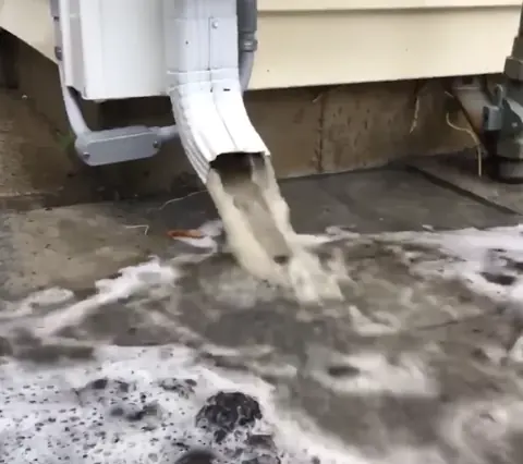 Weeds rooted in years of gutter sediment before gutter cleaning in Jacksonville FL