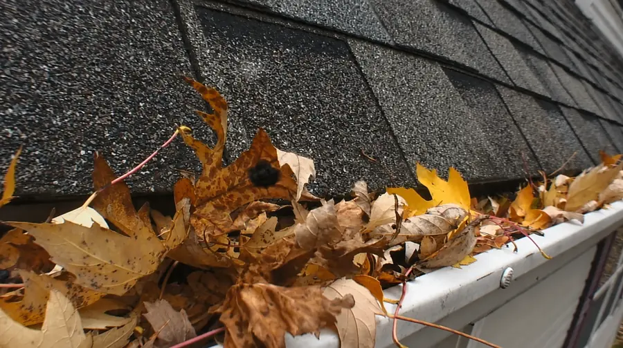 Debris pile staged for haul-away after gutter cleanup, Jacksonville Florida