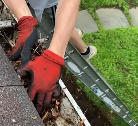 Spotless white gutter run along a granite-tone shingle roof after Jacksonville FL gutter cleaning