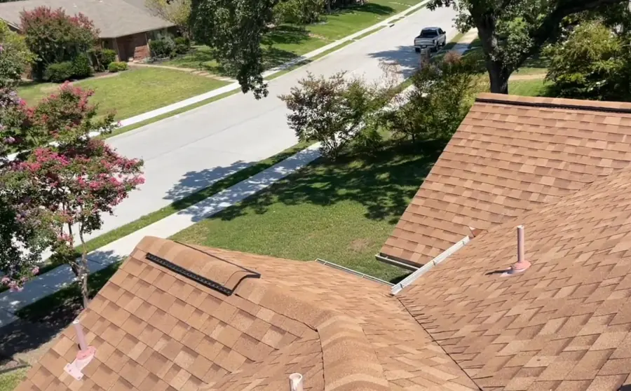 Hand lifting a rooted seedling from packed gutter debris — professional gutter cleaning Jacksonville