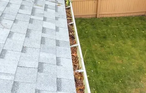Shaded residential roofline over a broad lawn — residential gutter cleaning Jacksonville