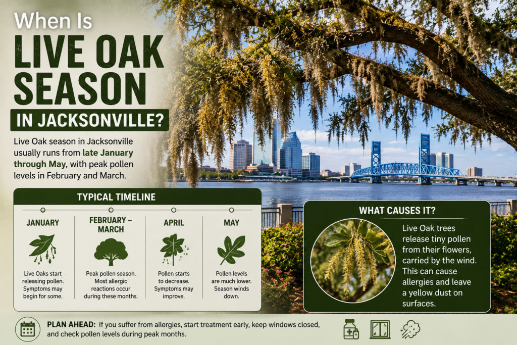 When Is Live Oak Season in Jacksonville?