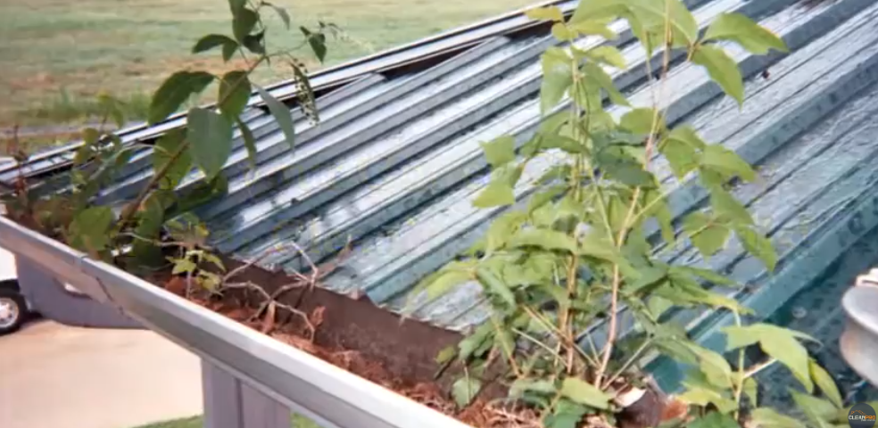 Standing Water in Your Gutters
